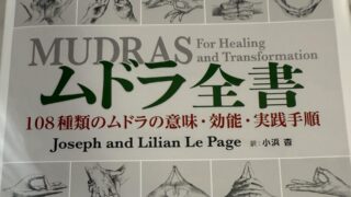 ムドラとアレルギーと“境界線”の話