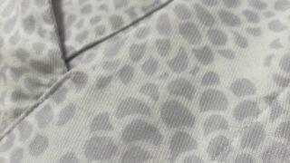 高島縮で猛暑を快適に