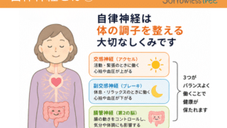 レッスン資料が見やすくなります♪